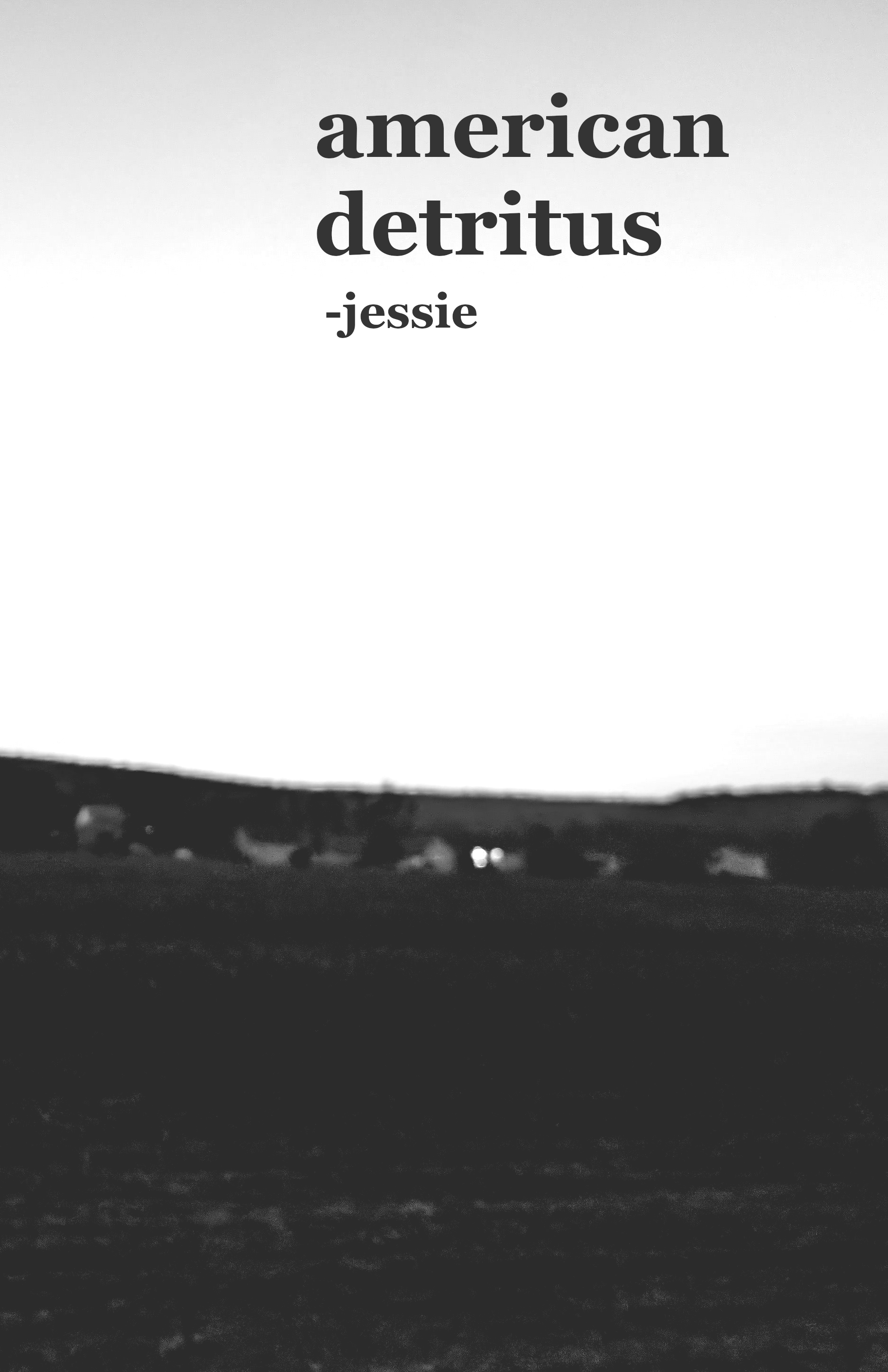 american detritus cover